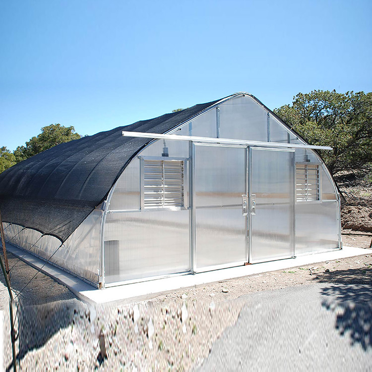 Factory Price Custom Plastic Film Tunnel Tomato Grow Tent Greenhouse for Agriculture