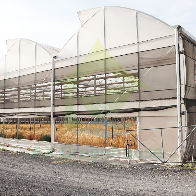 Steel Tructure UV Resistant Film Poly Tunnel Multi-span Vegetable Greenhouse for Tomatoes