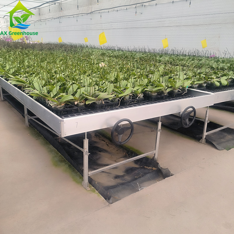 Ebb And Flood Hydroponic Movable Table Rolling Bench For Growing Plants In Greenhouse