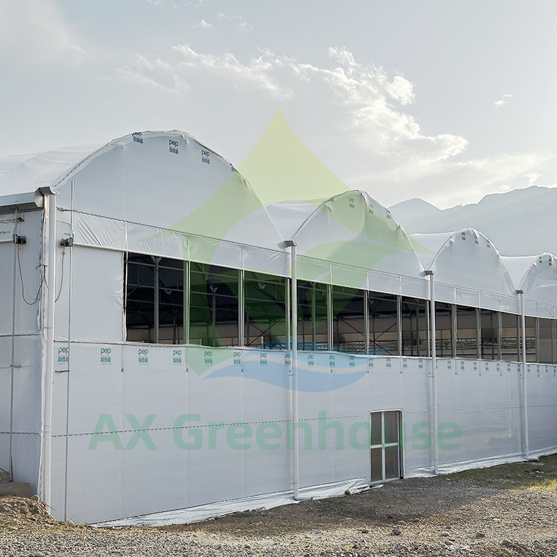 Plastic PE Film Multi Span Tomato Poly Tunnel Greenhouse For Fruits Vegetables With Shade Net