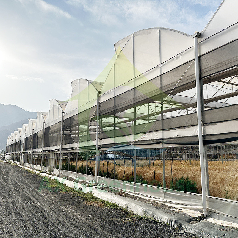 Plastic PE Film Multi Span Tomato Poly Tunnel Greenhouse For Fruits Vegetables With Shade Net