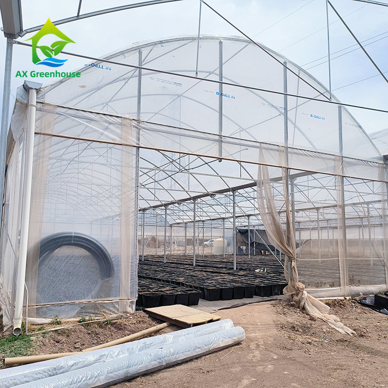 Multi Span Tropical Metal Frame Structure Tomato Poly Tunnel Greenhouse For Fruits Vegetables