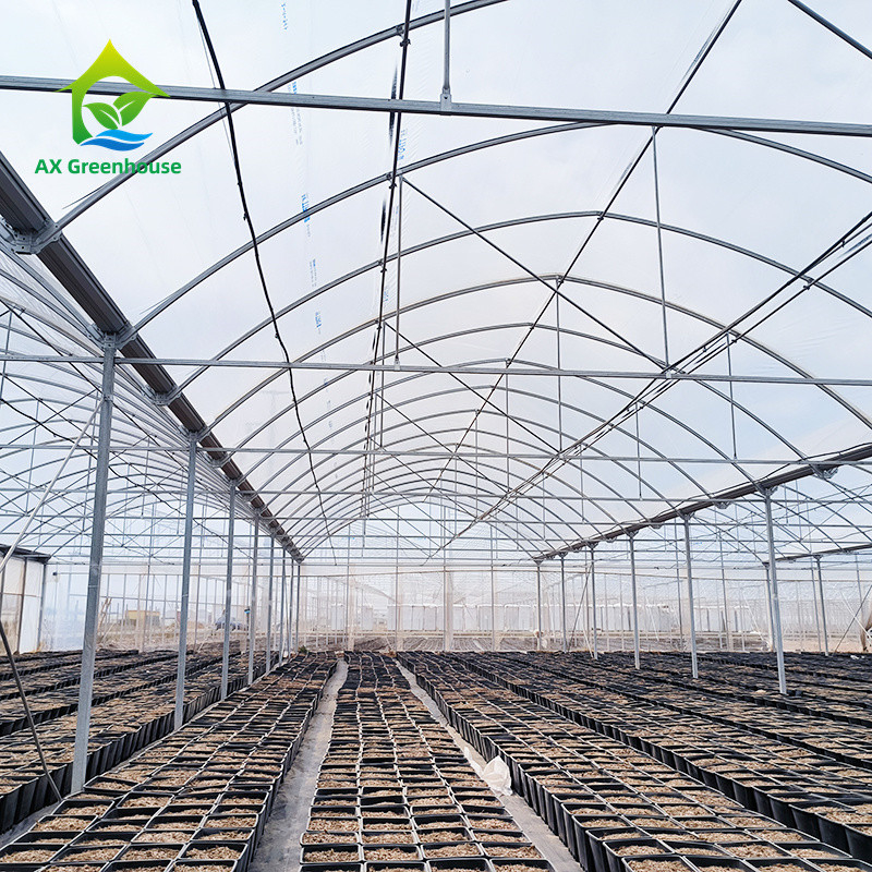 Multi Span Tropical Metal Frame Structure Tomato Poly Tunnel Greenhouse For Fruits Vegetables