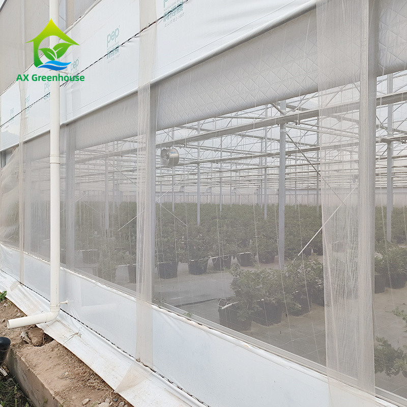 Multi Span Tropical Metal Frame Structure Tomato Poly Tunnel Greenhouse For Fruits Vegetables