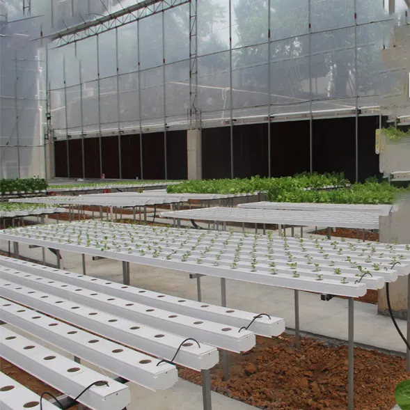 Soilless Indoor Farming Strawberry Growing PVC Tube For Hydroponics NFT System For Sale