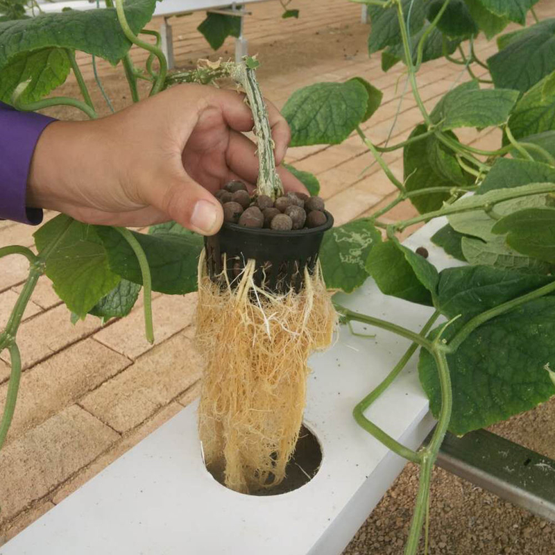 Horticulture Circular Tube Soilless Culture Hydroponic NFT Channel Grow Systems For Grow