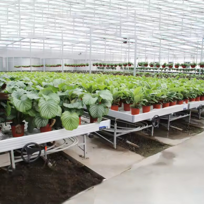 Soilless Culture Greenhouse Indoor Custom Ebb Grow Table Rolling Bench For Seed