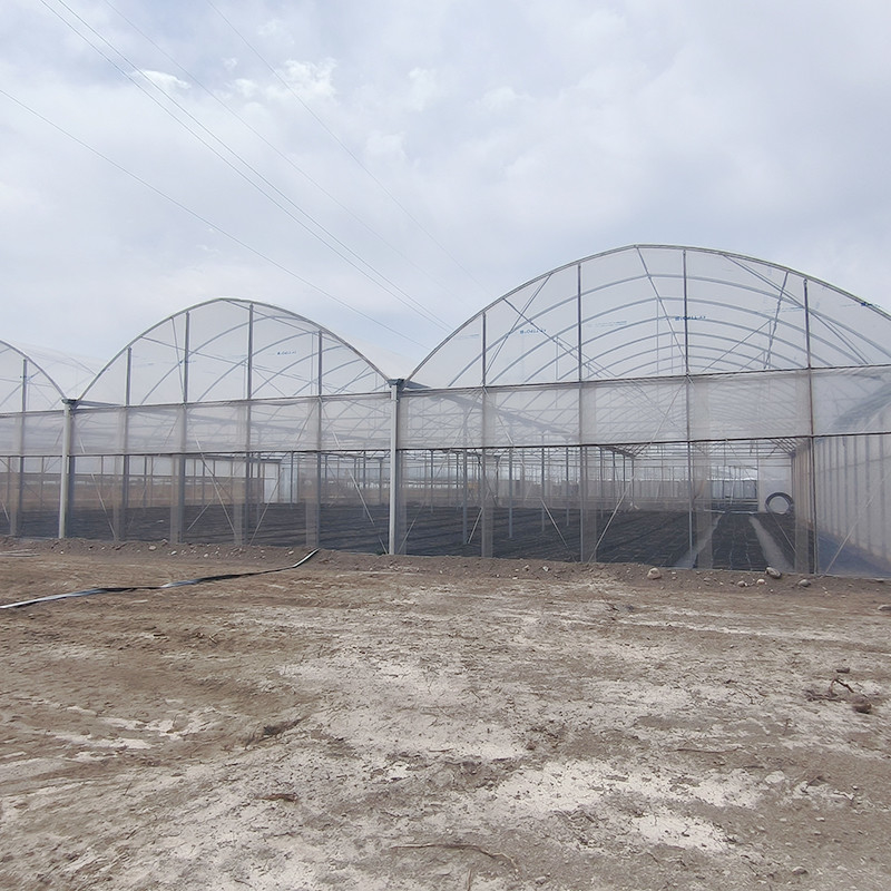 Hot Galvanized Steel Structure Multi-Span Plastic Film Custom Greenhouse with Tropical Top Ventilation Sawtooth Design