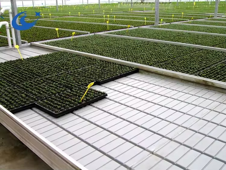 Greenhouse Rolling Benches Grow Table for Tomato Plant Seedling Ebb And Flow Irrigation System