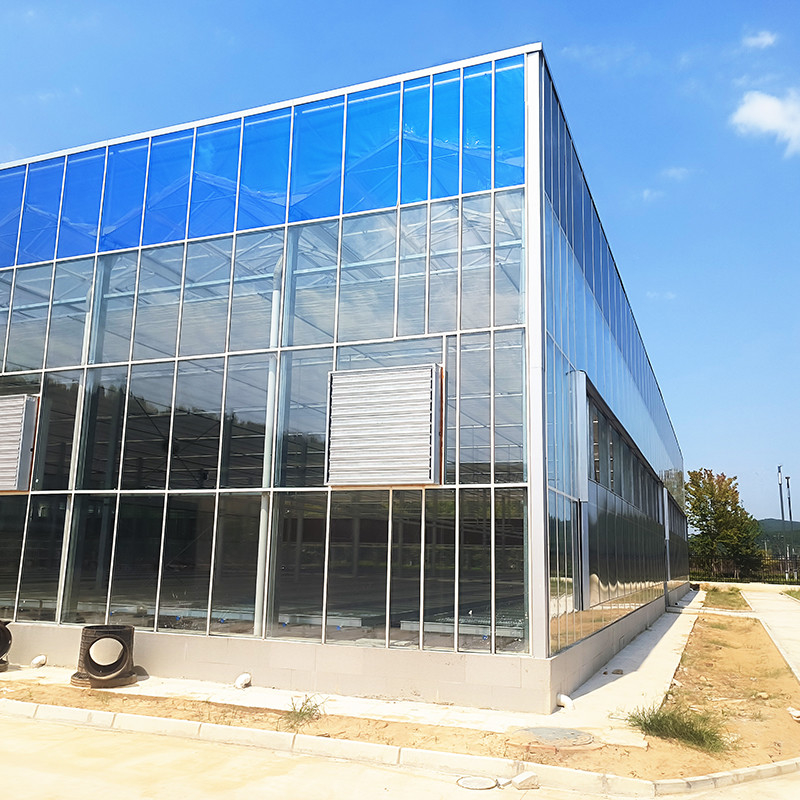 Intelligent Control System Durable Greenhouse For Vegetables 9.6m/10.8m/12m Width