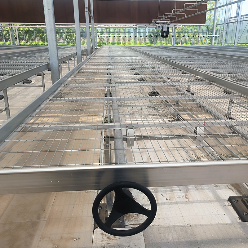 Customized Greenhouse Rolling Bench Grow Table with Easy Construction Advantage and Hot Galvanized Steel Frame Structure