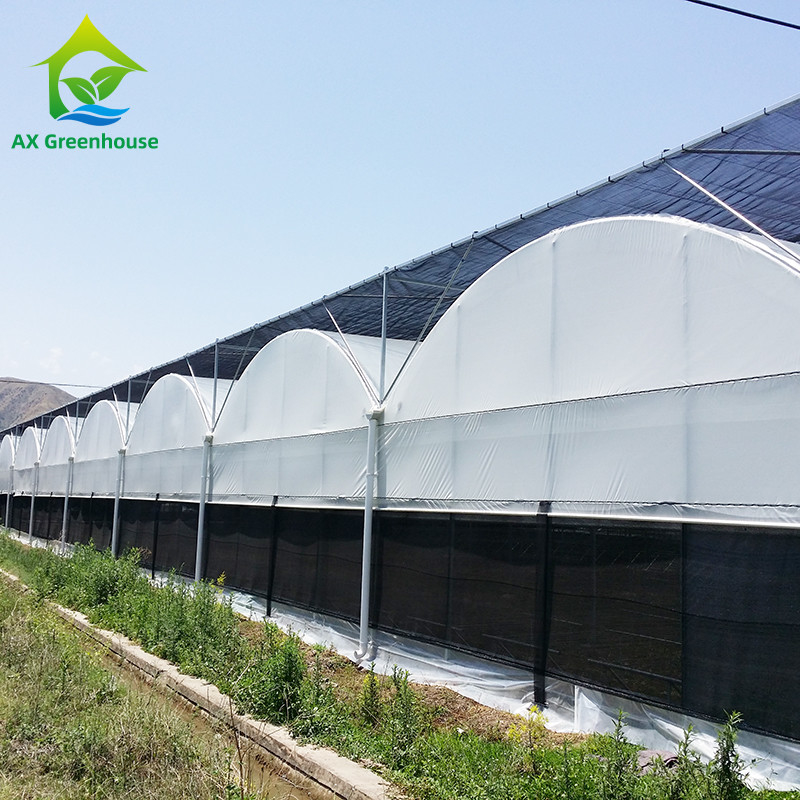 Hot Galvanized Steel Pipe Nursery Multi-span Panda Film Blackout System Mushroom Tropical Greenhouse