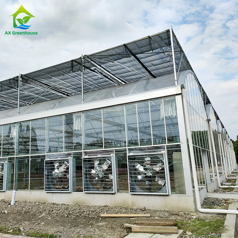 Intelligent Control System Durable Greenhouse For Vegetables 9.6m/10.8m/12m Width