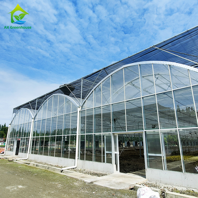 Intelligent Control System Durable Greenhouse For Vegetables 9.6m/10.8m/12m Width