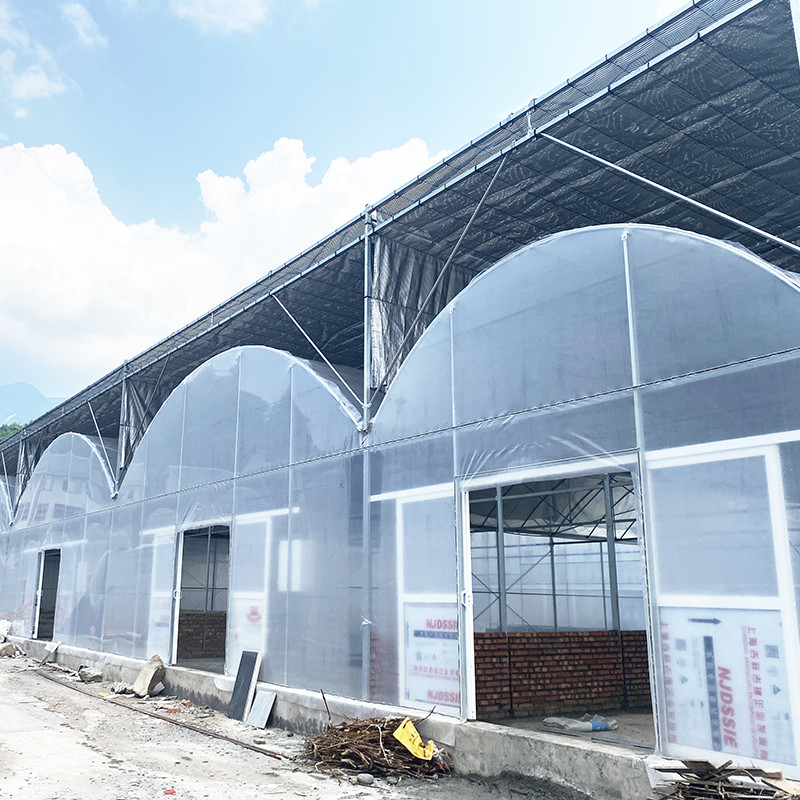 UV Resistant 30x10m Plastic Film Greenhouse for Tomato and Vegetable with Film Cover