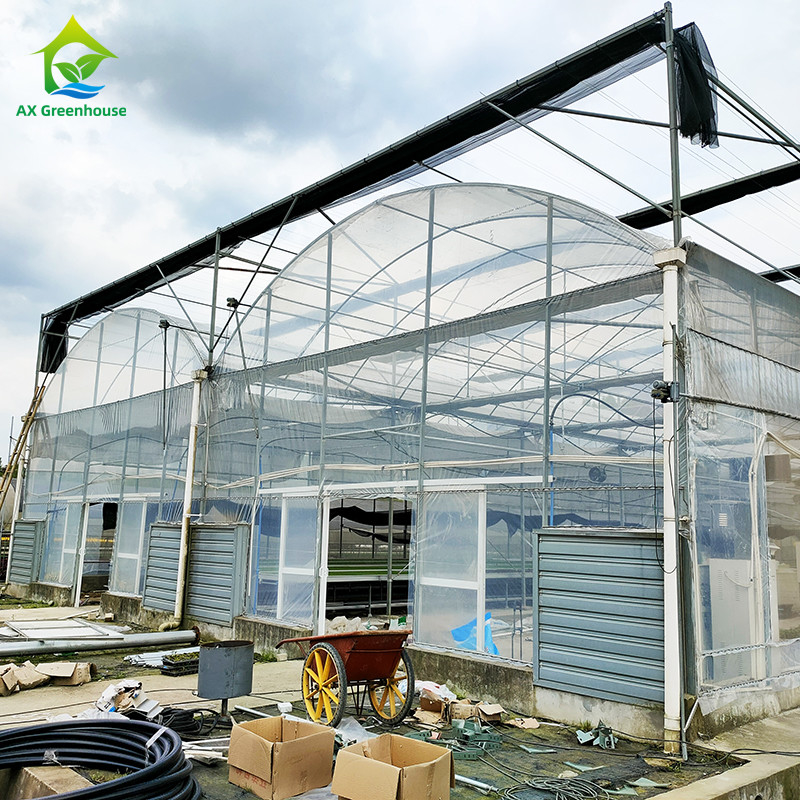 UV Resistant 30x10m Plastic Film Greenhouse for Tomato and Vegetable with Film Cover