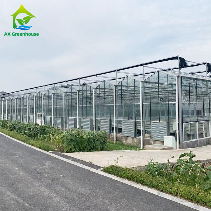9.6m/10.8m/12m Width Aluminum Alloy Frame Agricultural Glass Venlo Multi-span Greenhouse With Triangle Roof Molding