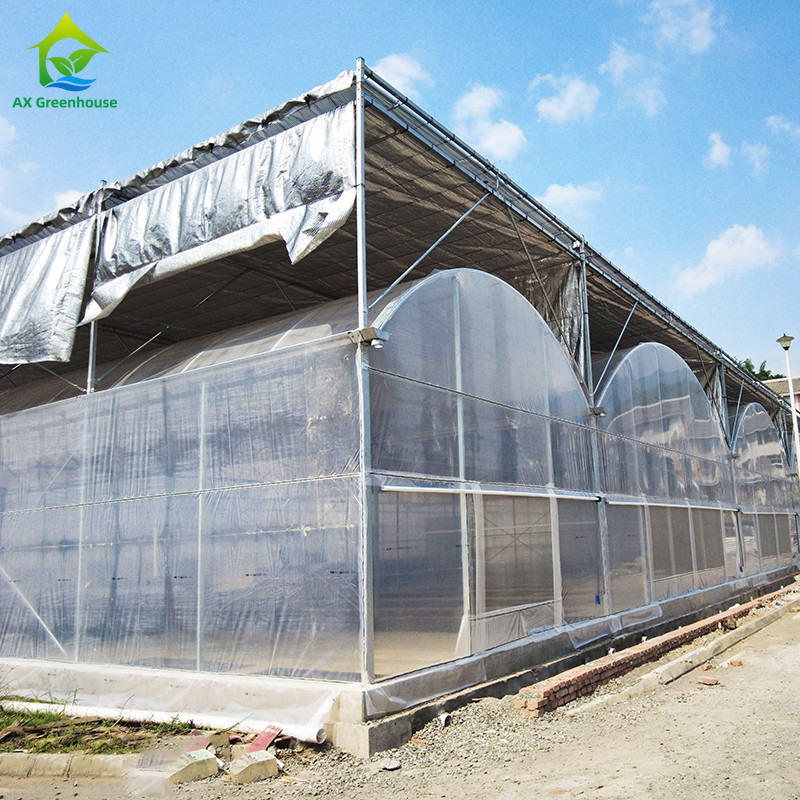 Durable Hot Dip Galvanized Steel Multi-span Plastic Film Agricultural Greenhouse For Fruit