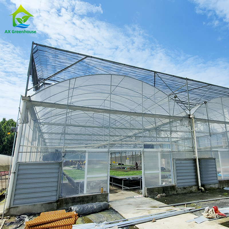 Durable Hot Dip Galvanized Steel Multi-span Plastic Film Agricultural Greenhouse For Fruit