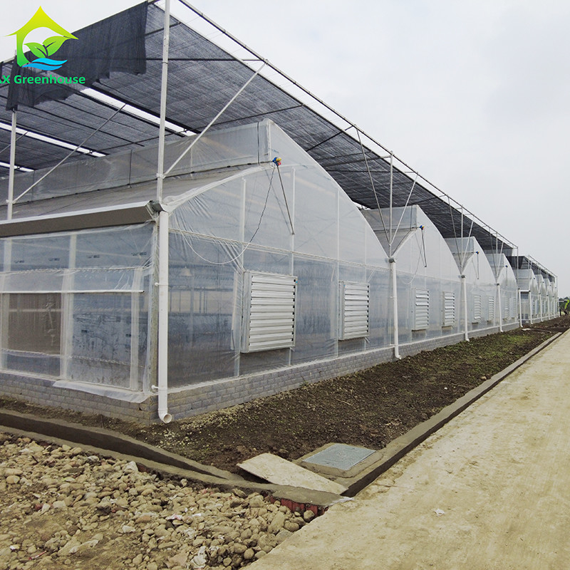 Durable Hot Dip Galvanized Steel Multi-span Plastic Film Agricultural Greenhouse For Fruit