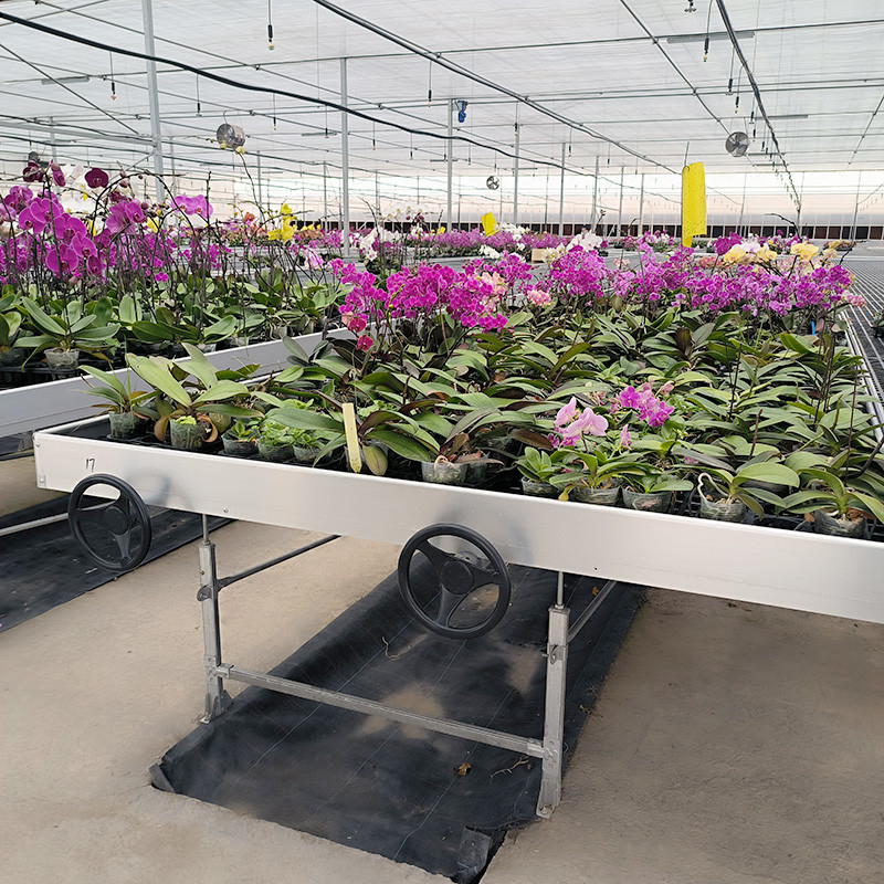 Customized Flower Growing Indoor Seedbed Nursery Grow Table Rolling Bench For Sale
