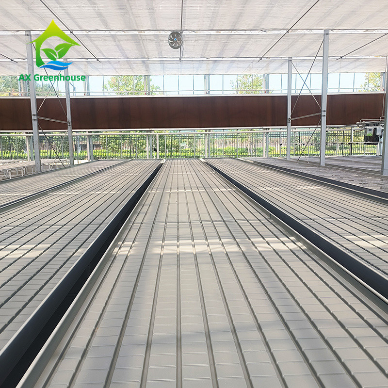 Customized Flower Growing Indoor Seedbed Nursery Grow Table Rolling Bench For Sale