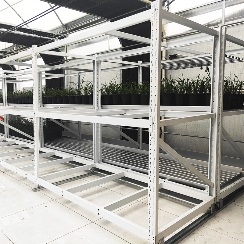 Customized Indoor Double Layers Vegetable Medical Herb Grow Rack for Vertical Farming