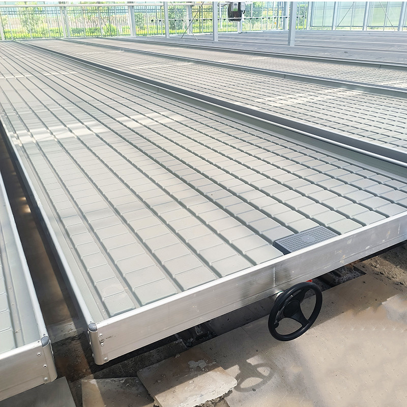 Greenhouse Indoor Hydroponic Ebb And Flood Rolling Benches Grow Seed Table For Seeding