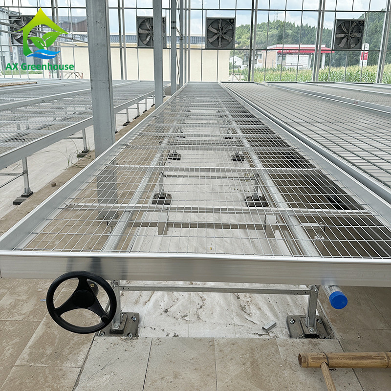 Greenhouse Indoor Hydroponic Ebb And Flood Rolling Benches Grow Seed Table For Seeding