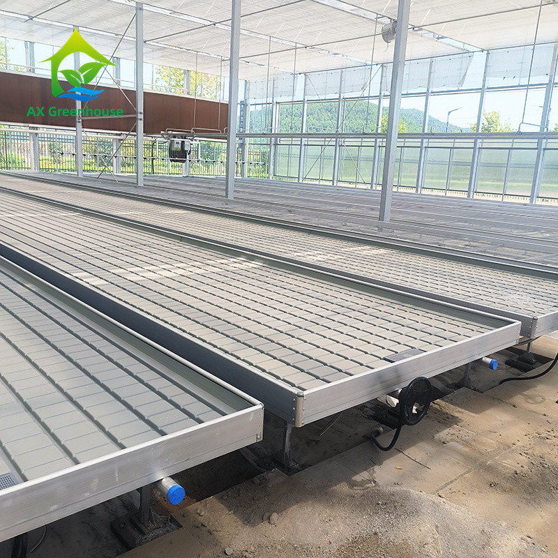 Greenhouse Rolling Benches Grow Table for Tomato Plant Seedling Ebb And Flow Irrigation System