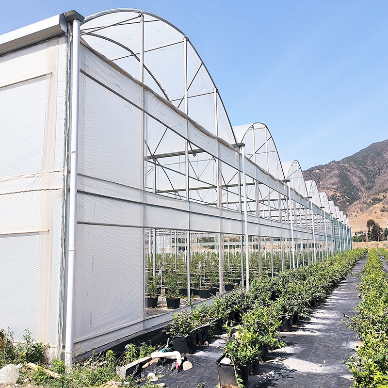 UV Resistant 30x10m Plastic Film Greenhouse for Tomato and Vegetable with Film Cover