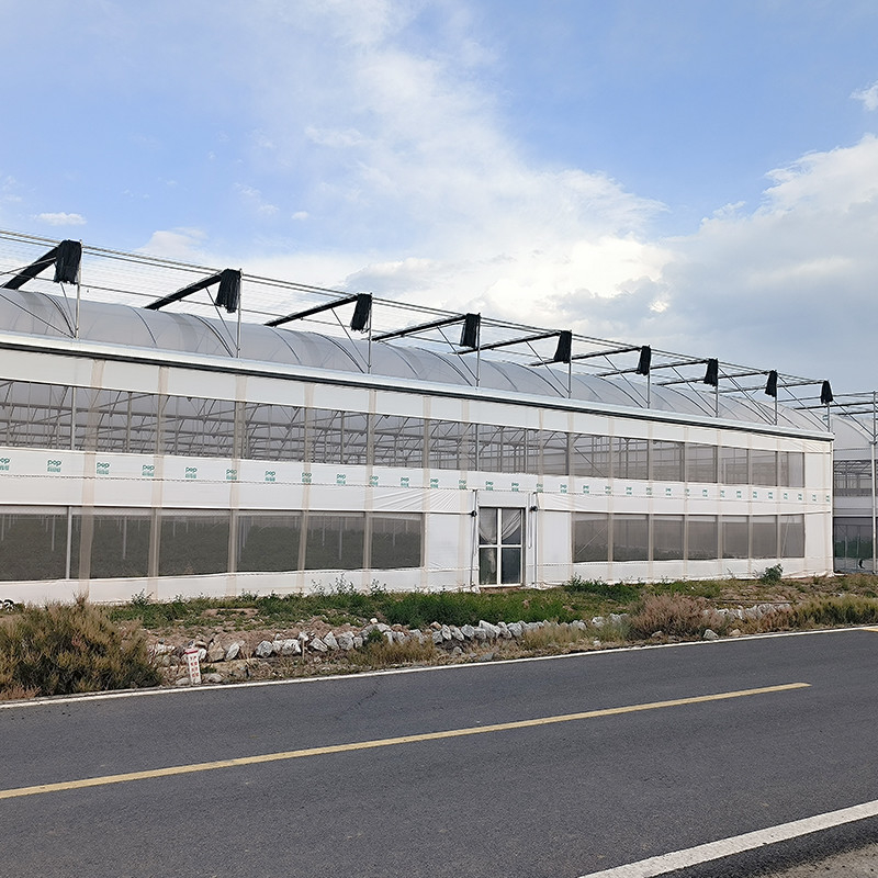 Steel Tructure Agricultural Poly Tunnel Black Shading Multi-span Greenhouse with Optional Cooling System