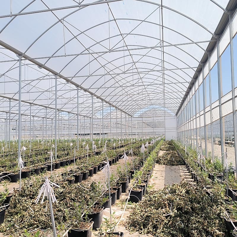 Steel Tructure Agricultural Poly Tunnel Black Shading Multi-span Greenhouse with Optional Cooling System