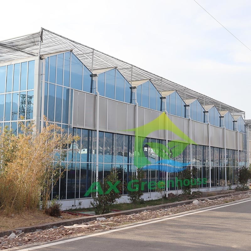 Hot Dipped Galvanized Steel Structure and Reinforced Glass Cover for Optimal Ventilation in Agricultural Glass Greenhouse