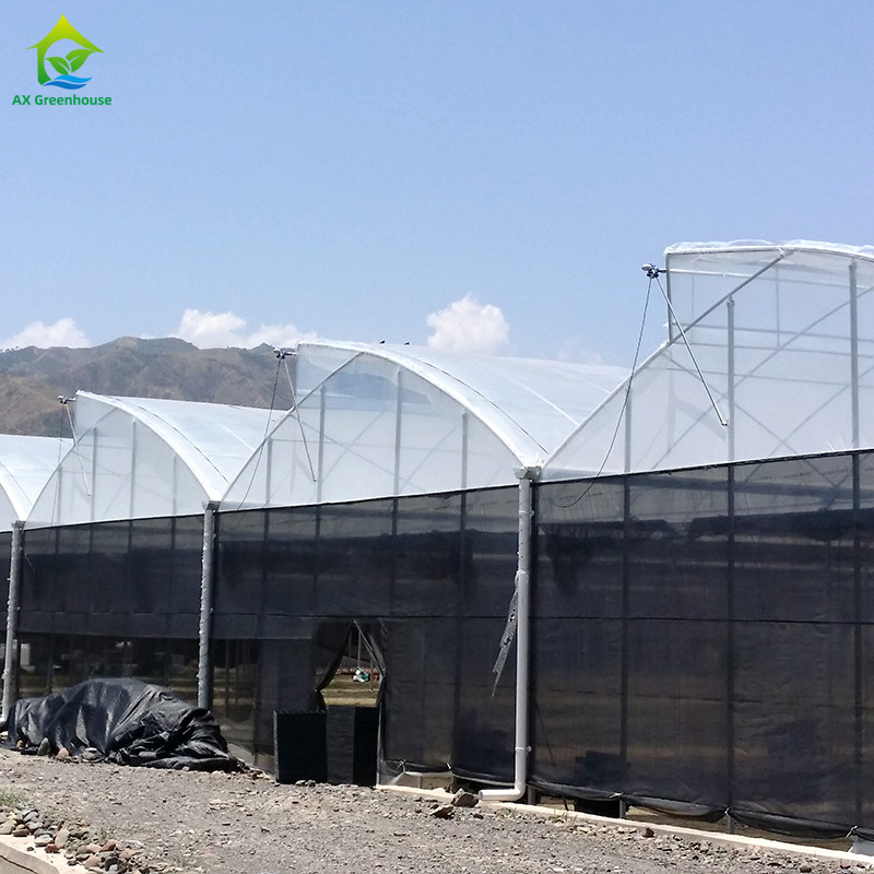 Steel Tructure Agricultural Poly Tunnel Black Shading Multi-span Greenhouse with Optional Cooling System