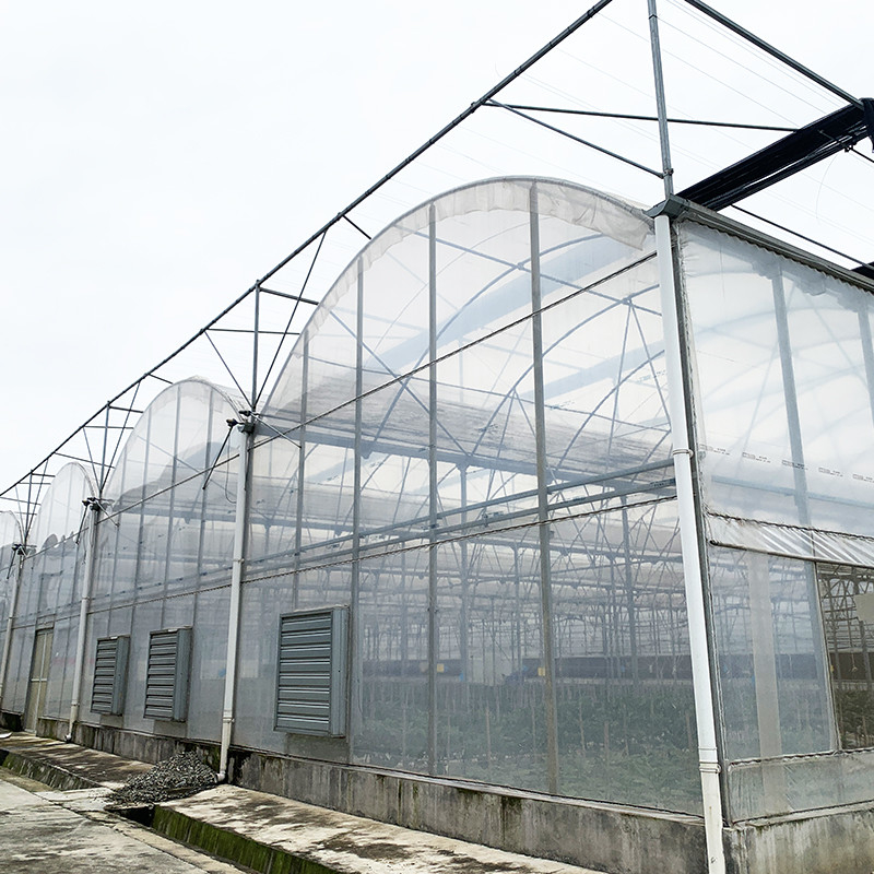 Steel Tructure UV Resistant Film Poly Tunnel Multi-span Vegetable Greenhouse for Tomatoes