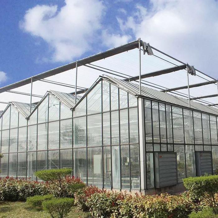 Hot Dipped Galvanized Steel Structure and Reinforced Glass Cover for Optimal Ventilation in Agricultural Glass Greenhouse