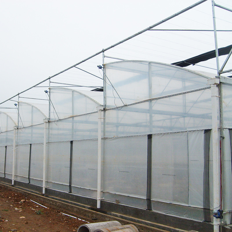 Steel Tructure Sawtooth Poly Film Low Tunnel Agricultural Multi-span Greenhouse for Sustainable Vegetable Production