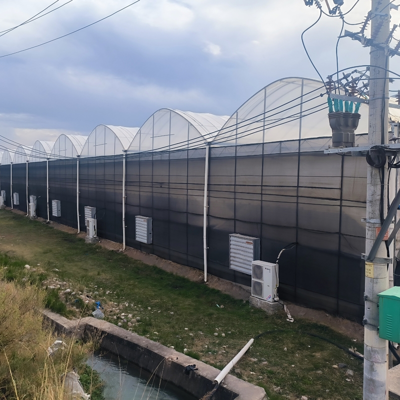 Steel Tructure Agricultural Poly Tunnel Black Shading Multi-span Greenhouse with Optional Cooling System