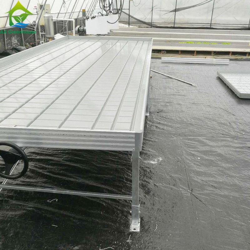 Greenhouse Rolling Benches Grow Table for Tomato Plant Seedling Ebb And Flow Irrigation System