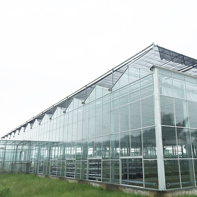 9.6m/10.8m/12m Width Aluminum Alloy Frame Agricultural Glass Venlo Multi-span Greenhouse With Triangle Roof Molding