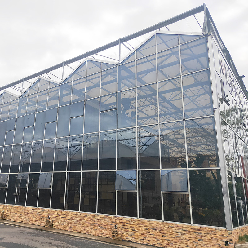 Hot Dipped Galvanized Steel Structure and Reinforced Glass Cover for Optimal Ventilation in Agricultural Glass Greenhouse