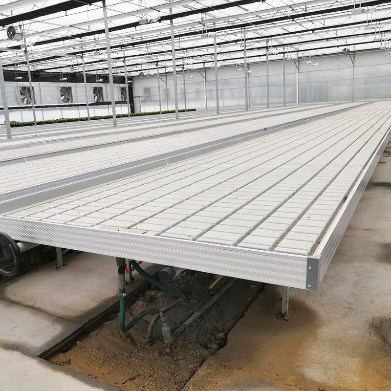 Ebb And Flow 4FT*8FT Vertical Hydroponic Movable Rolling Bench Grow Table With Pole