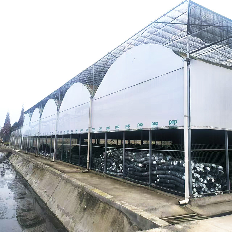 Hot Galvanized Steel Pipe Nursery Multi-span Panda Film Blackout System Mushroom Tropical Greenhouse