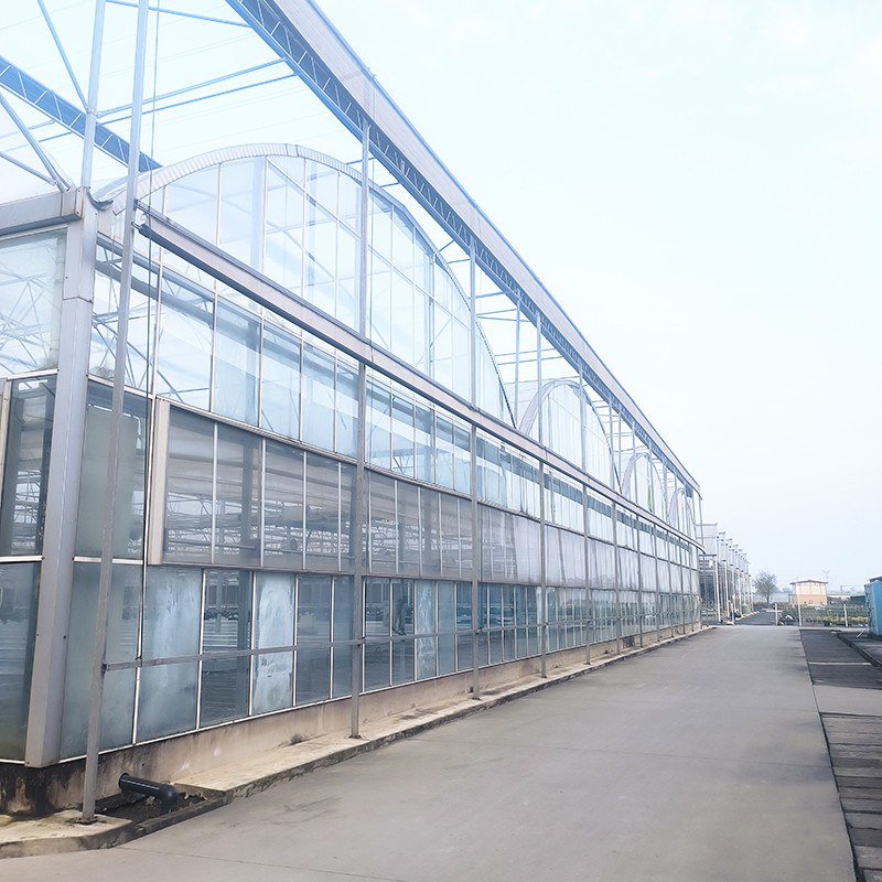 Industrial Agricultural Luxury Venlo Tempered Glass House Herb Greenhouse With Stable Structure And Heating System
