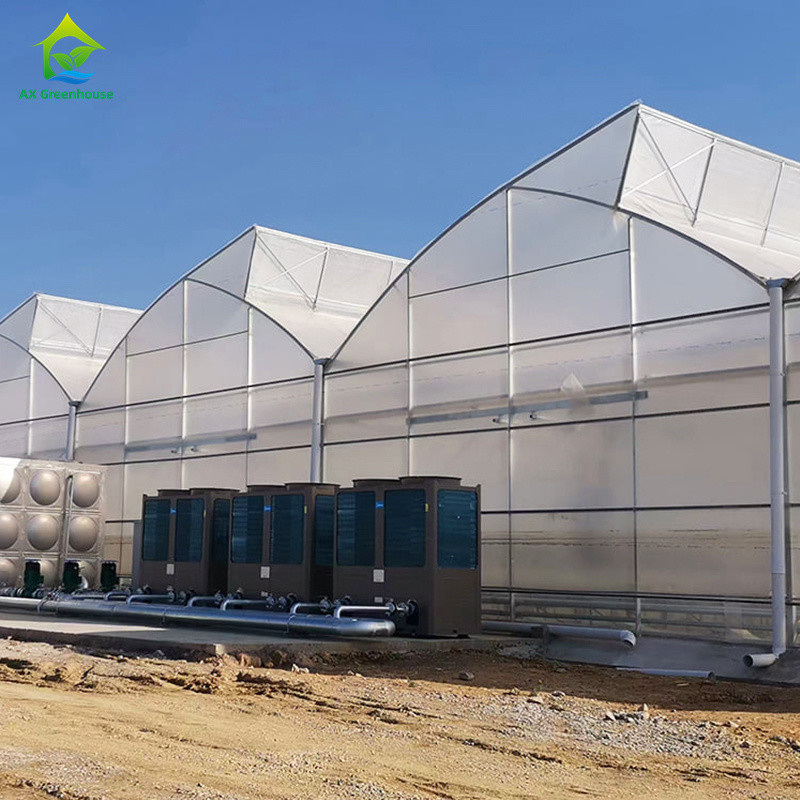 Plastic UV Film Poly Tunnel Agricultural Sawtooth Multi-span Custom Greenhouse for Sale