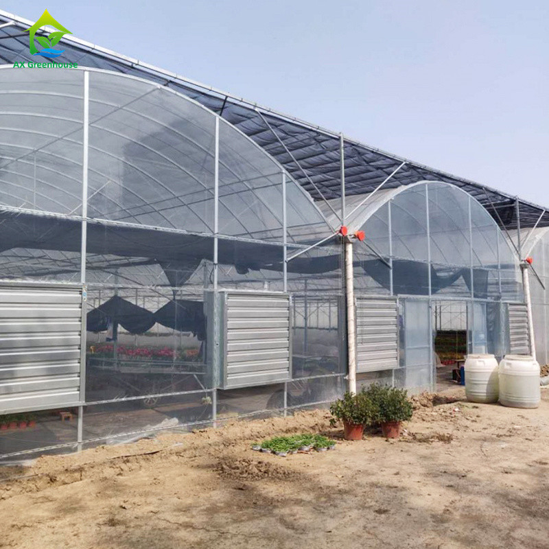 Stable Structure Wind Resistant Multi-span Large Tunnel Poly Film Hydroponic Greenhouse for Irrigation