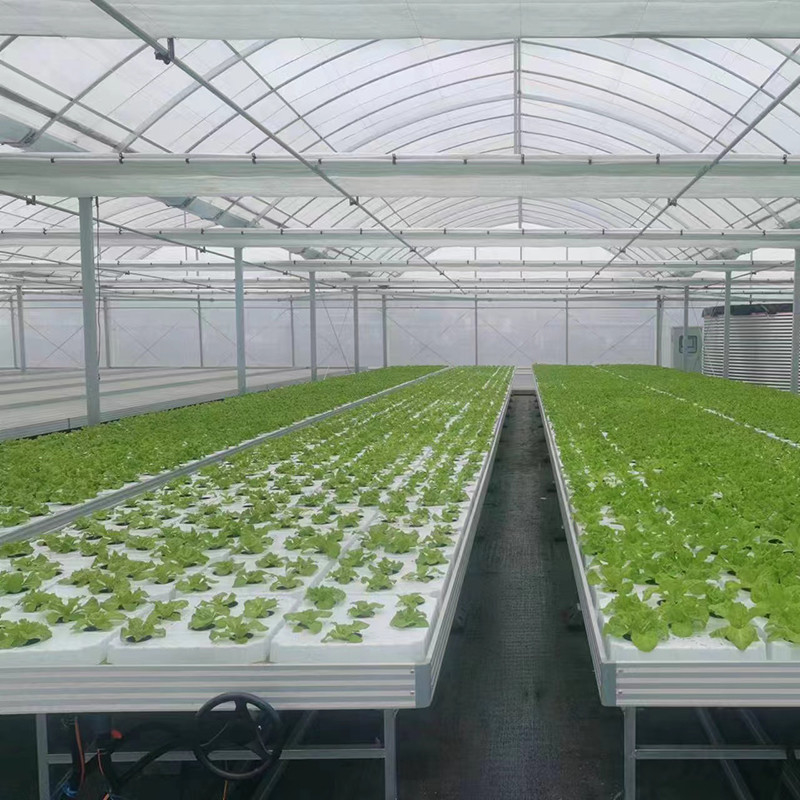 Horticultural Custom Size Greenhouse Grow Table Hydroponic Ebb Flood Rolling Bench