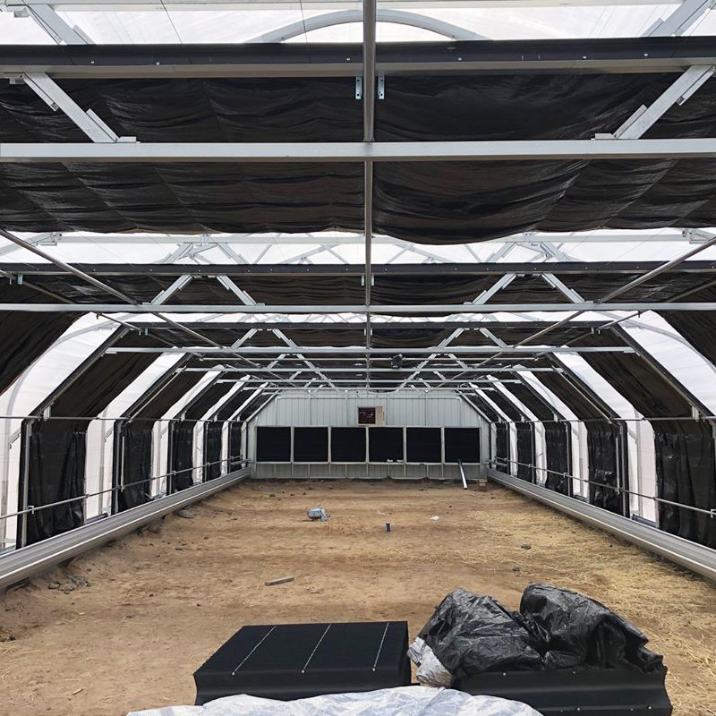 Fully Light Deprivation Greenhouse with Blackout Film and Customized Hot Galvanized Steel Pipe Fram