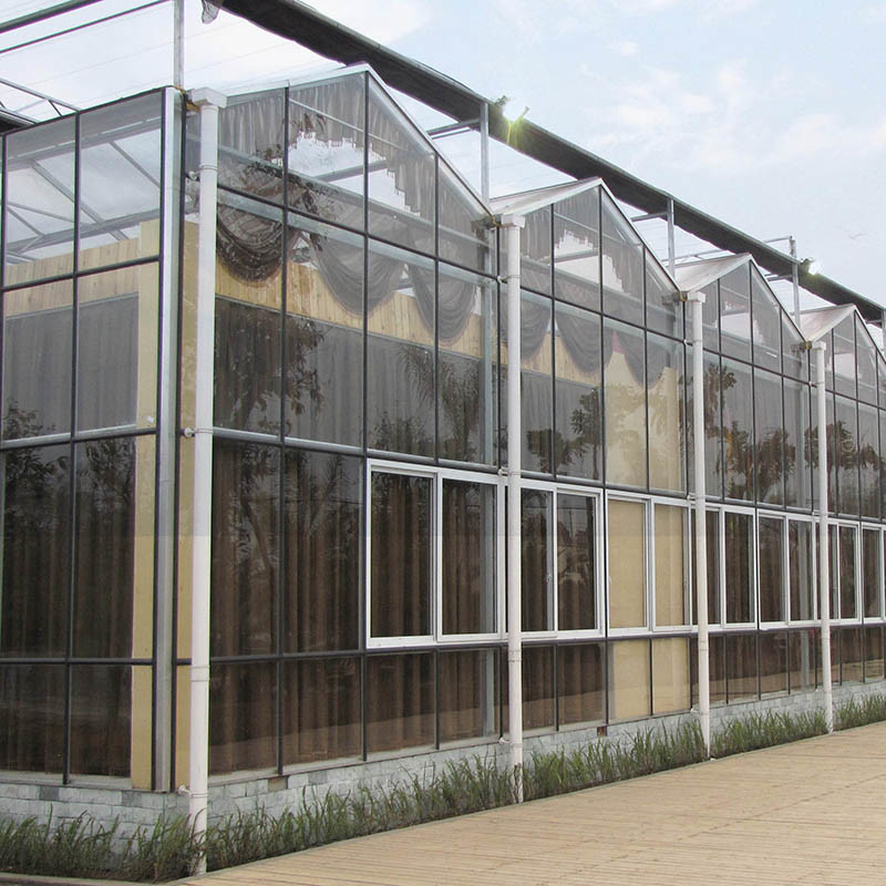 Hot Dipped Galvanized Steel Multi-Span Venlo Tempered Glass Tomato Greenhouse for Optimal Growing Condition